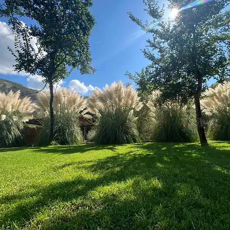 Bunica Spring 别墅 *